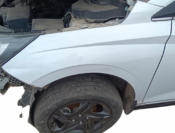 Left Fender (Hyundai I 20 Sportz )