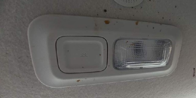 Cabin Light Front (Tata  Altroz )