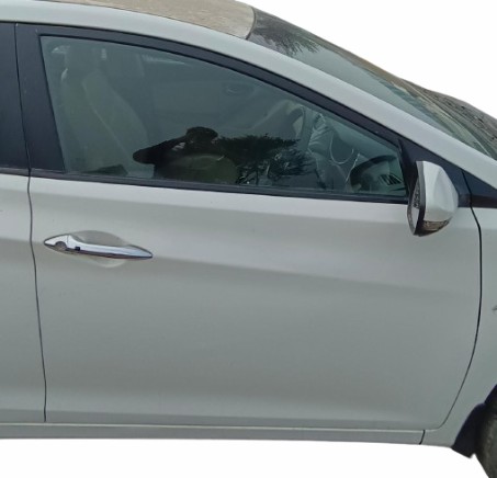Right Front Door (Hyundai Elantra   )